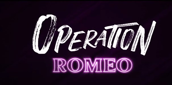 Operation Romeo Hindi Movie OTT Release Date